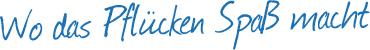 Wo das Pfl&uuml;cken Spa&szlig; macht